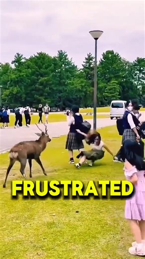 Reason why Japan is living in 2050 | Behind Japan