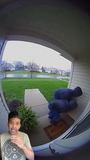 Stealing a package gone wrong | John Dees