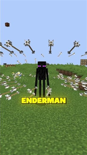 I Bet You Can't Kill This Minecraft Mob! 🤯