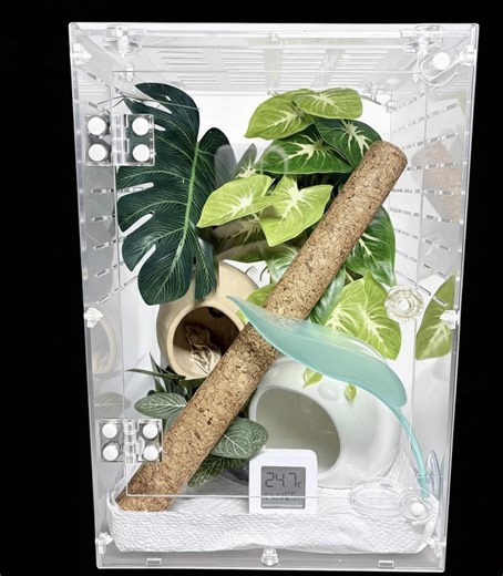 Arboreal Acrylic Terrarium Enclosure: Arboreal Gecko, Spider, Tree Frog Reptile Habitat (pre-assembled) - Etsy