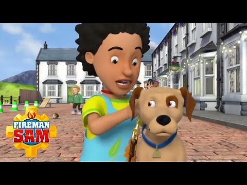 Best of The Pontypandy Pets! | Fireman Sam Official | Cartoon for Children