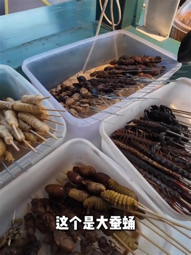 Exploring Unique Insect Delicacies to Try