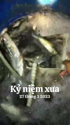 A super powerful high-power cable drop racket #0333573543