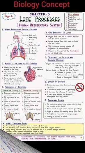 Life Process Full Concept With Diagram I Class 10 Science New Session | #ujjwalstudynotes