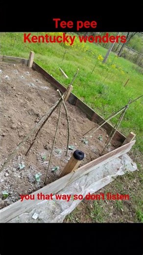 homemade tee pee #garden #teepee