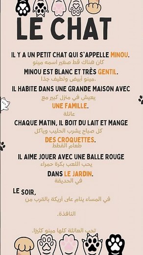 Histoire en Français pour Débutants | Le Petit Chat 🐱 | Apprendre le Français Facilement