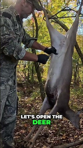 Deer Hunting 101 - Know How to Field Process a Deer!
