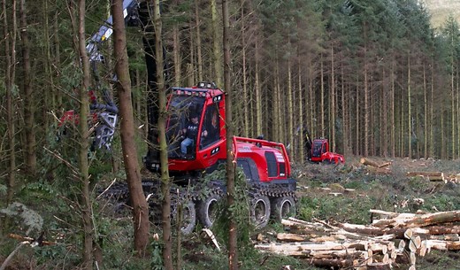 Elliot Henderson - Forestry & Timber Harvesting Services
