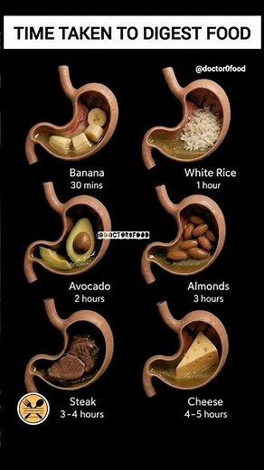 How Long Does Food Take to Digest! Fast vs Slow Digesting Foods – Complete Guide #healthylifestyle