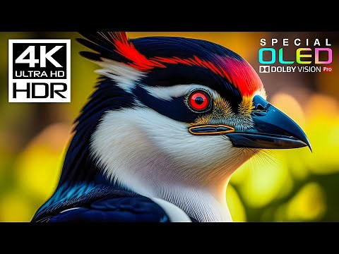 Amazing Cinematic 4K videos with Music for Sleep | 4K HDR Dolby Vision 60fps