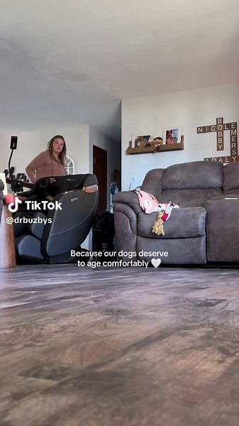 Senior Dog Care: Ensuring Comfort and Safety