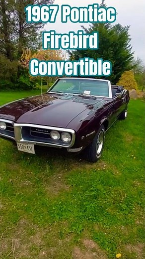 1967 Pontiac Firebird Convertible #automobile #racingdreams #oldclassic #cartok #carshow