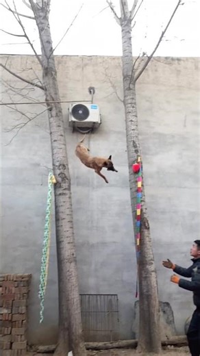 10 Must-Try Chinese Snacks for Foodies