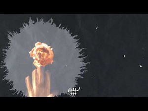 slchld - still here (Official Visualizer)