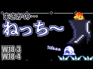 カメックじゃなくて、ネッチーなのね… スーパーマリオチャレンジ! W18-3 W18-4 【マリオメーカー3DS実況】 #41