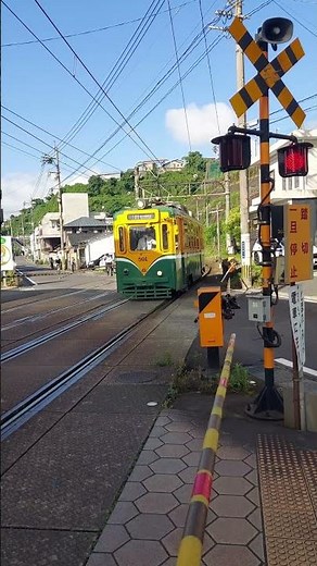🚋RetroTram【鹿児島市電501号】1955年製造✨ 新川4号踏切 Passage🚦
