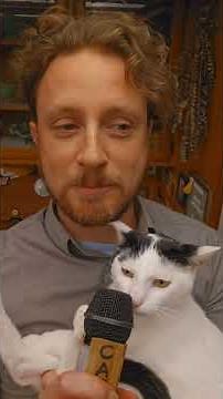 Cat Interview - Doug's Wise Words