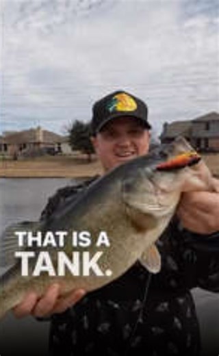 The Best Pond Fishing Lure! This Lure Will Catch Giant Bass If You Throw It!