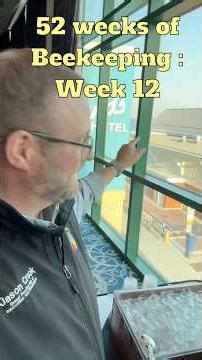 Week 12 of 52 weeks of beekeeping 🐝