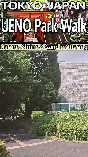 🇯🇵 Ueno Park Walk: Nature, Torii Shrine ⛩️ & Candle Offering | with a French Traveler (Tokyo, 4K)