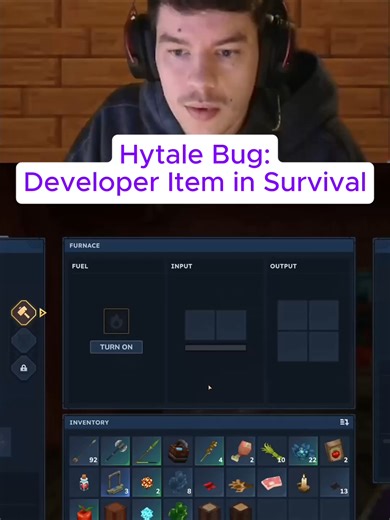 Hytale Developer Items for Survival Gameplay
