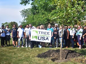 Triton's Tree Campus USA initiative with swamp white oak planting