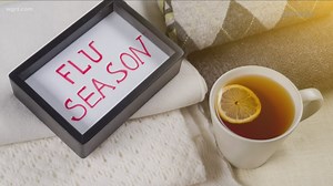 New York State launches online Flu Tracker