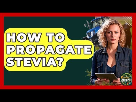 How To Propagate Stevia? - The World of Agriculture