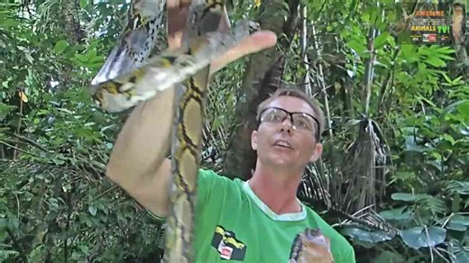 Do snakes drink water?