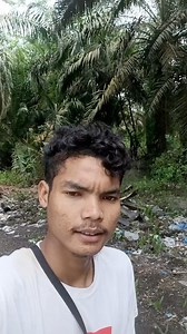 248K views · 7.3K reactions | review beko si toke tunjuk langit | Margolang | Facebook