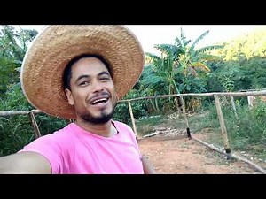 construção do canil para meus cachorro veja como ficou 😍😍