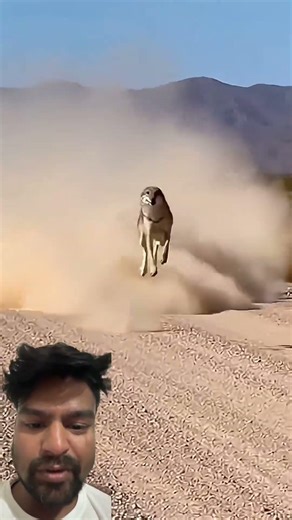 Smart Appliances! New Gadgets, Versatile Utensils, Tool Items #shorts#gadgets