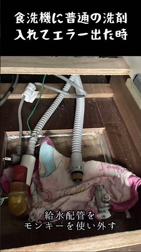 【食洗機】ビルトインタイプ水漏れ対処法 普通の食器洗剤入れてしまった時も ※自己責任で #エダ電設 #水漏れ #食洗機 #diy