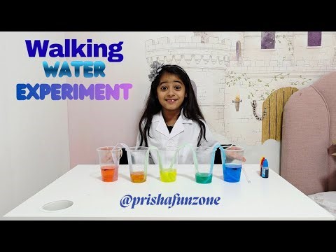 🌈 Walking Water Experiment | Colorful Science Magic for Kids!