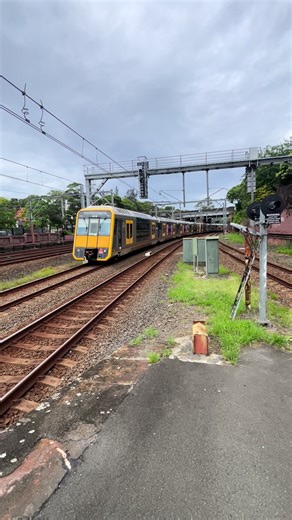 Sister Sets Tangara T92 T93 honks and passes Petersham Station @bennington @big surr  #fyp #fyppppppppppppppppppppppp #xybca #sydneytrains #tangara