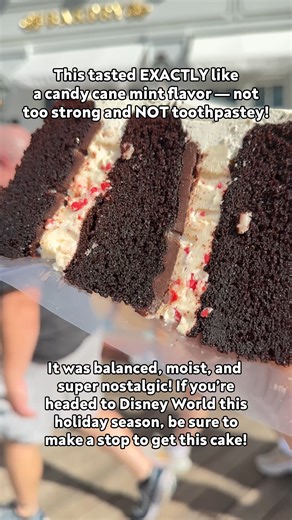 🎄🍰 The Peppermint Candy Cane Chocolate Cake from Cake Bake Shop — $22 and absolutely worth every penny. Listen… we understand people who are NOT a fan of peppermint flavored stuff. Mint flavoring sometimes feels like I accidentally brushed my teeth mid-bite of dessert — too strong, too “fresh,” too much. 😂 BUT THIS? This is the peppermint cake that might just convert a peppermint hater. The peppermint here is soft, sweet, nostalgic, like the tiny candy cane Santa handed you at the mall back i