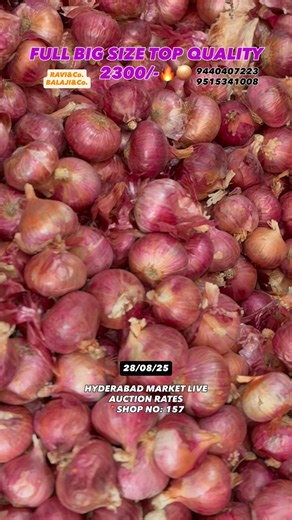 Ravi and Company onions 🧅 | 28/08/25 HYDERABAD MARKET LIVE AUCTION RATES💥🧅 . . . . . . Follow @ravi_company_onions for more. . . . . . . . . #onions #karnataka... | Instagram