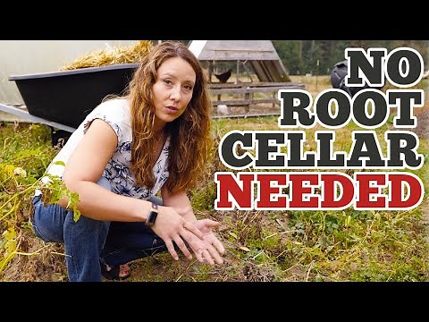 Easy Trick to Store a YEAR'S Worth of Potatoes | Harvesting Potatoes