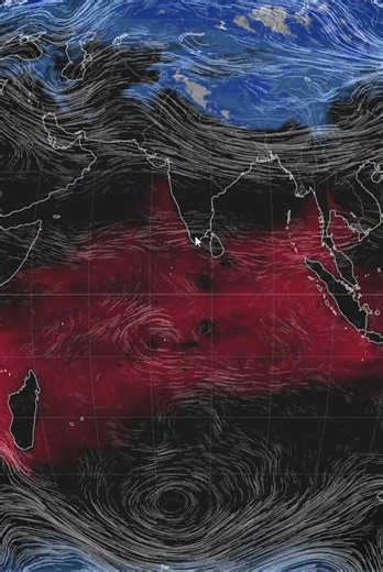 are expected to affect nearly everyone on Earth – some 9.2 billion people – by 2050.15 Dec 2025