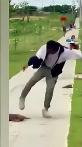 Hilarious Lizard Prank Going Viral on TikTok