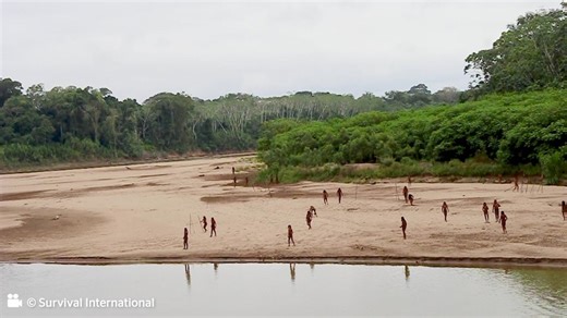 Rare footage captures uncontacted Indigenous tribe in Peruvian Amazon