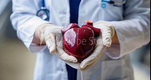 A close-up of gloved hands holding a liver model, representing the battle against hepatitis for World Hepatitis Day