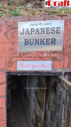 Asia’s oldest and largest Chatham Saw Mill and its tryst with #war | Chatham Island | Port Blair