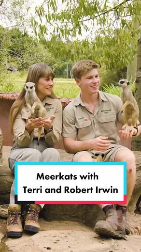 Exploring Australia Zoo's Meerkat Enclosure with Terri and Robert Irwin