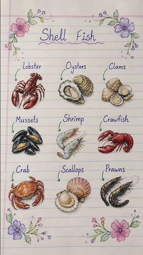 🦞 Shell Fish Names Made Easy! 🐚✨