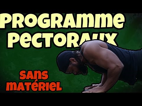 PROGRAMME PECTORAUX MAISON (SANS MATÉRIEL)