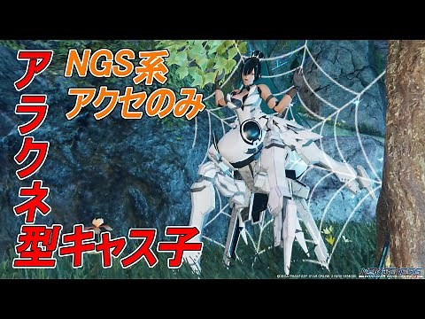 【 #PSO2NGS 】NGSアクセのみでアラクネ型キャス子 / Arachne-type cast using only NGS-specification accessories【調整内容公開】