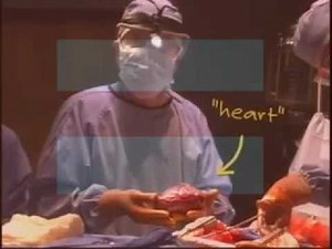 The Bernie Mac Show Full Episodes Season 2 Episode 14 Leaving Los Angeles |