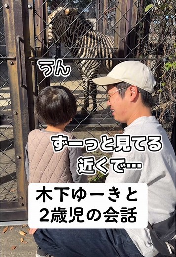 親子で楽しむ動物園のシマウマ