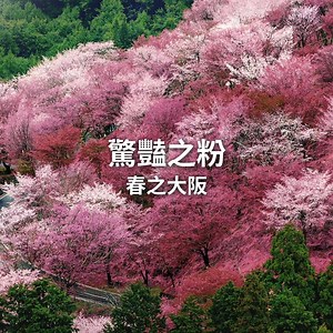 274K views | Japan Airlines on Reels | Facebook